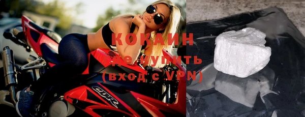 прущие грибы Балабаново