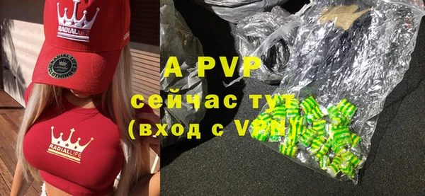 прущие грибы Балабаново