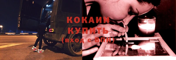 прущие грибы Балабаново