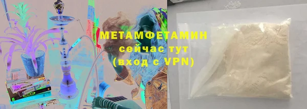 прущие грибы Балабаново