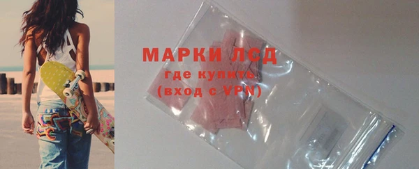 индика Рославль