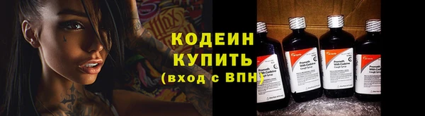 прущие грибы Балабаново