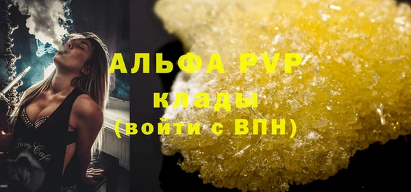 прущие грибы Балабаново