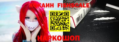 шишки Новодвинск