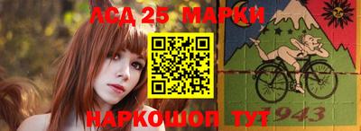 шишки Новодвинск