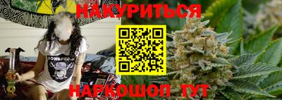 шишки Новодвинск
