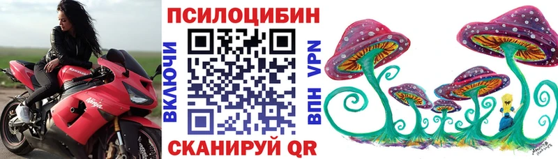 kraken ссылки  как найти закладки  Усть-Джегута  Псилоцибиновые грибы мухоморы 