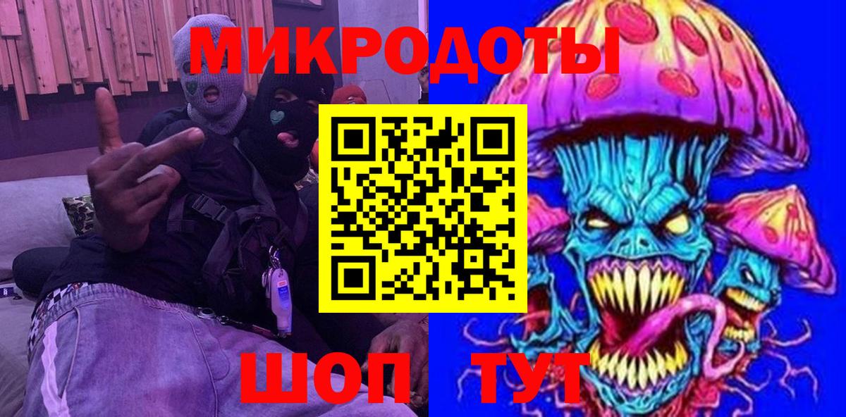 Галлюциногенные грибы Psilocybine cubensis Усть-Джегута