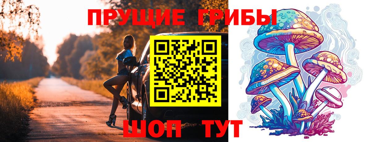 Усть-Джегута  Псилоцибиновые грибы Cubensis  Галлюциногенные грибы мухоморы  Вход с VPN 